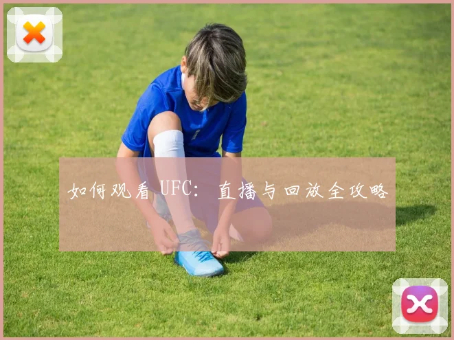 如何观看 UFC:直播与回放全攻略