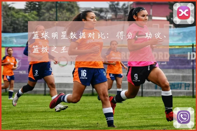 篮球明星数据对比：得分、助攻、篮板之王